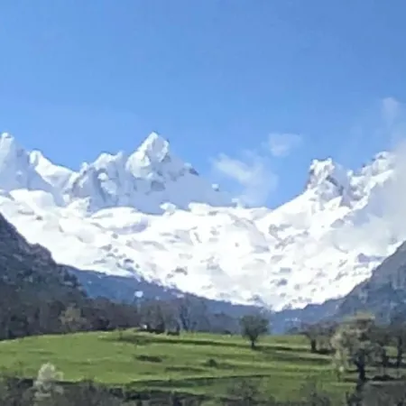 Torrecerredo
